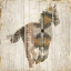 Picture of NAVAHO HORSE II 