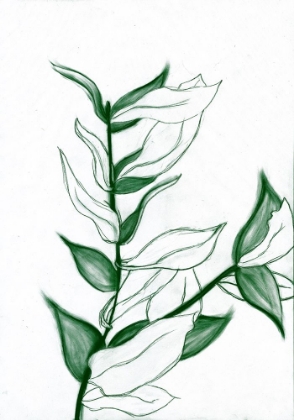 Picture of CHARCOAL FOLIAGE I V2