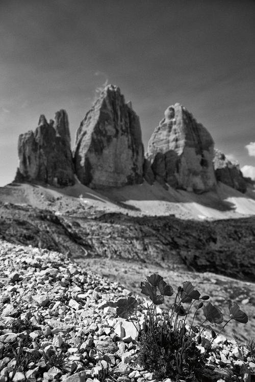 Picture of DOLOMITI IV