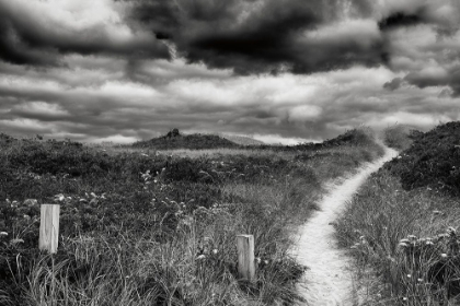 Picture of NANTUCKET PATHWAY