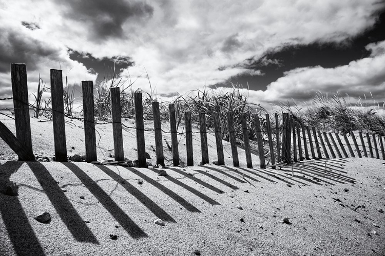 Picture of NANTUCKET SHADOWS