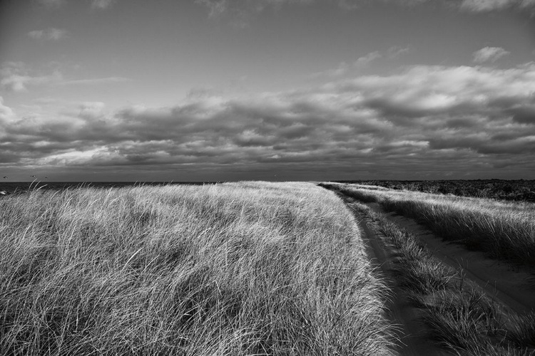 Picture of ROAD TO THE BEACH