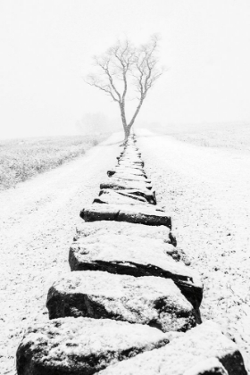 Picture of SNOWY STONE WALL