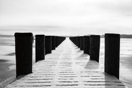 Picture of WINTER DOCK