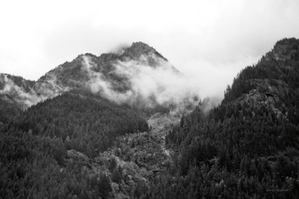 Picture of NORTH CASCADES I