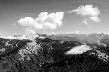 Picture of OLYMPIC MOUNTAINS II