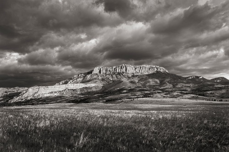 Picture of CASTLE REEF MOUNTAIN