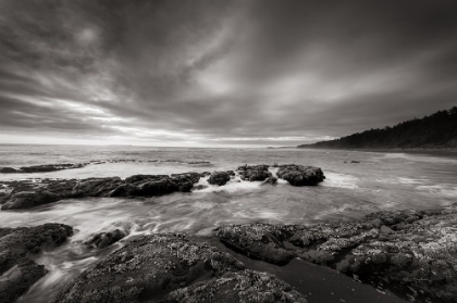 Picture of KALALOCH BEACH