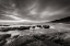 Picture of KALALOCH BEACH