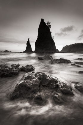 Picture of SPLIT ROCK RIALTO BEACH