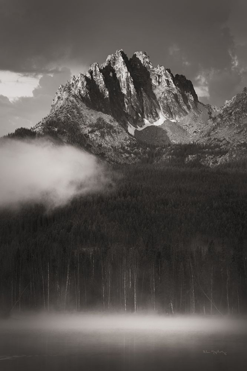 Picture of LITTLE REDFISH LAKE MIST I