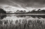 Picture of LITTLE REDFISH LAKESHORE