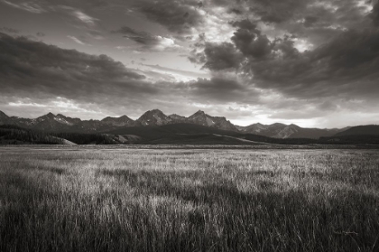 Picture of STANLEY BASIN SAWTOOTH MOUNTAINS IDAHO