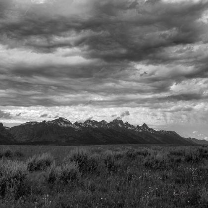 Picture of GRAND TETONS II
