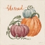 Picture of HARVEST JEWELS IV PUMPKINS SQ