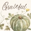 Picture of HAPPY HARVEST VII GRATEFUL