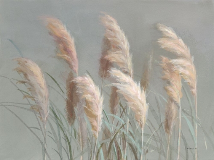 Picture of PAMPAS GRASSES ON GRAY
