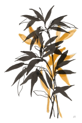 Picture of AMBER LONG LEAF II