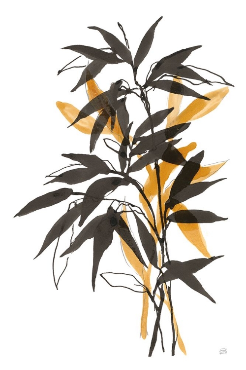 Picture of AMBER LONG LEAF II