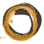 Picture of AMBER ENSO III