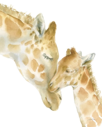 Picture of GIRAFFE LOVE ON WHITE