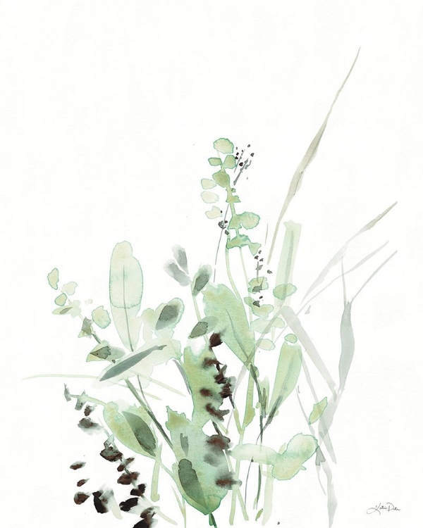 Picture of GRASSES II