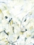 Picture of ICE SCRIBE I