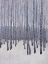 Picture of BARE TREES IN WINTER I