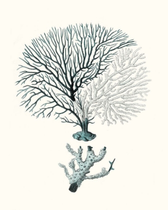 Picture of ANTIQUE COASTAL CORAL III