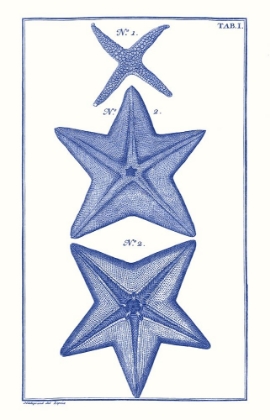 Picture of BLUE SEA STARS II