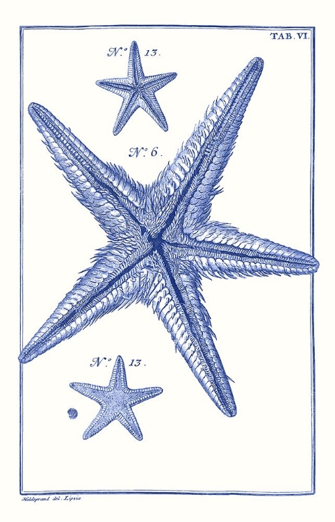 Picture of BLUE SEA STARS III