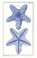 Picture of BLUE SEA STARS IV