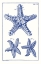 Picture of BLUE SEA STARS V
