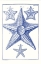Picture of BLUE SEA STARS VI