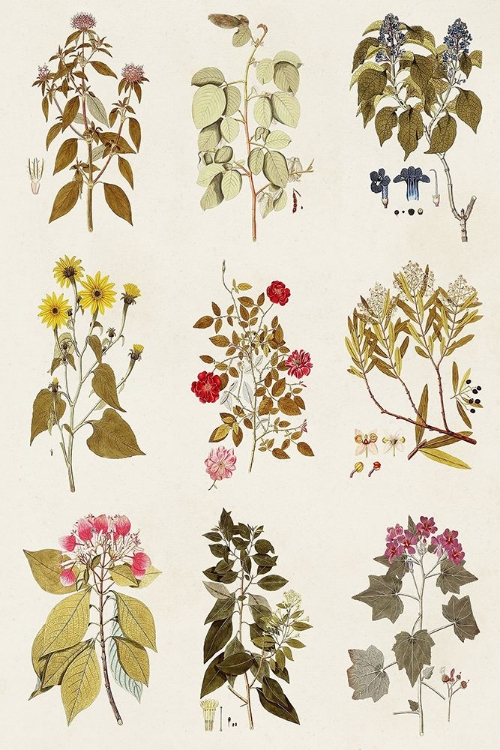 Picture of ANTIQUE FLORAL GRID I