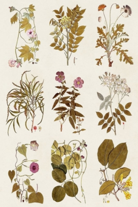 Picture of ANTIQUE FLORAL GRID II