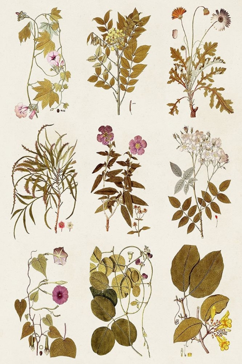 Picture of ANTIQUE FLORAL GRID II