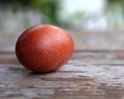Picture of EGG ON WOOD