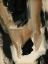 Picture of BAKED PAINTSTROKES II