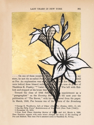 Picture of FLORAL DIARY I