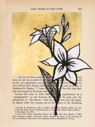 Picture of FLORAL DIARY I