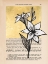 Picture of FLORAL DIARY I