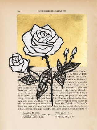 Picture of FLORAL DIARY II