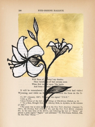 Picture of FLORAL DIARY IV