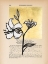 Picture of FLORAL DIARY IV