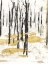 Picture of GILDED WINTER I
