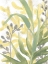 Picture of SEA GRASS FRESCO I