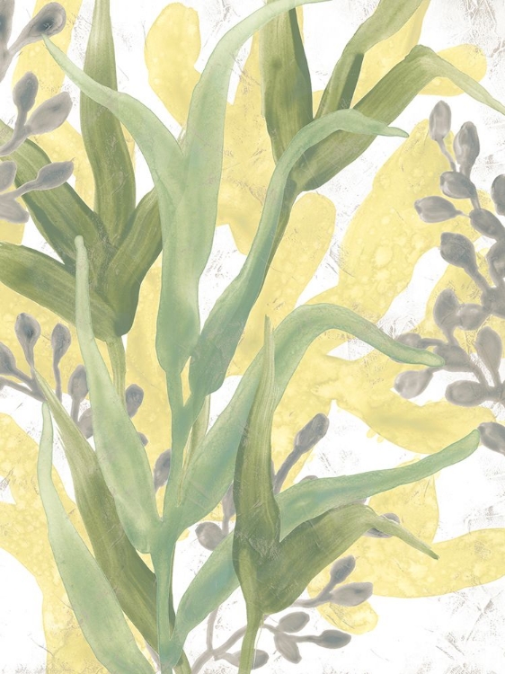Picture of SEA GRASS FRESCO II