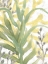 Picture of SEA GRASS FRESCO IV