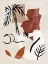 Picture of SOFT PALMS I